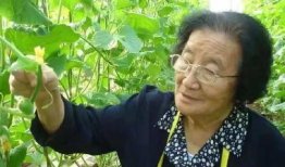 巢湖一中网课事件吃瓜,揭秘背后真相与网络舆论的漩涡