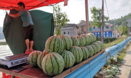 晋城网红吃瓜事件,揭秘网络舆论的风暴与真相