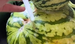 网课吃瓜搞笑视频大全,搞笑视频大盘点，一起重温那些欢乐时光