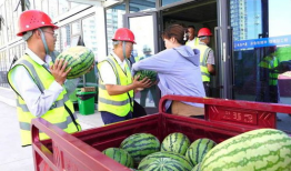 巢湖一中网课事件吃瓜,揭秘背后真相与网络舆论的漩涡