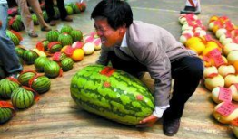 吃瓜网每日大赛入口,入口开启狂欢盛宴！