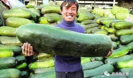 吃瓜网我爱吃瓜,带你领略网络吃瓜文化的魅力